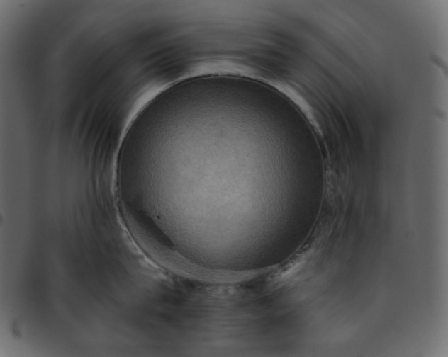 X0000095680815200801221224