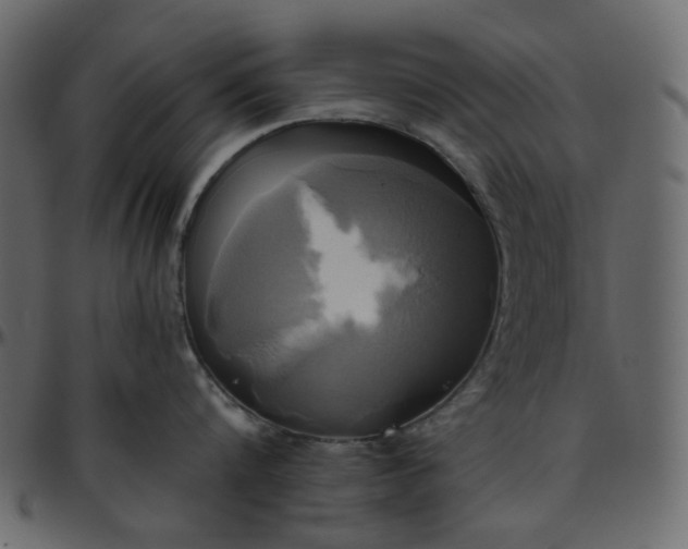 X0000095680816200801221224