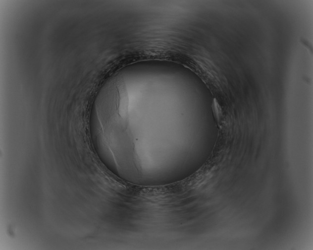 X0000095680817200801221224