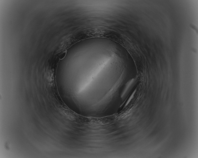 X0000095680818200801221224