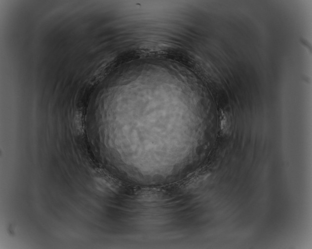 X0000095680819200801221224