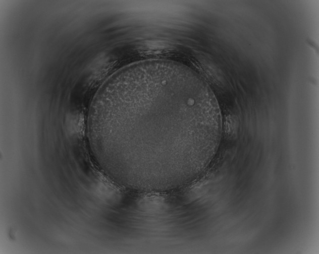 X0000095680820200801221224