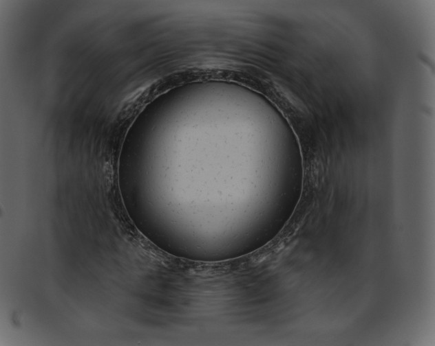 X0000095680821200801221224