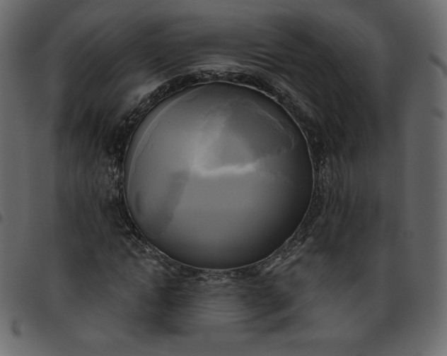 X0000095680822200801221224