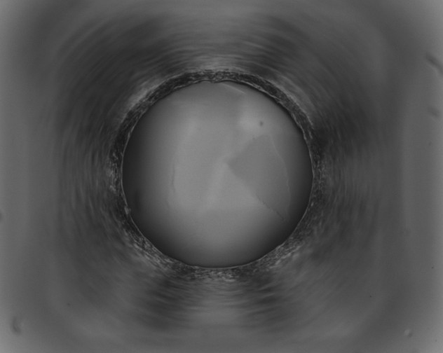 X0000095680823200801221224