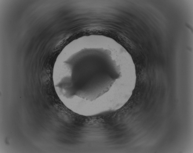 X0000095680824200801221224