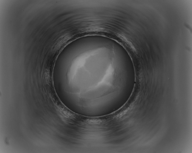 X0000095680825200801221224
