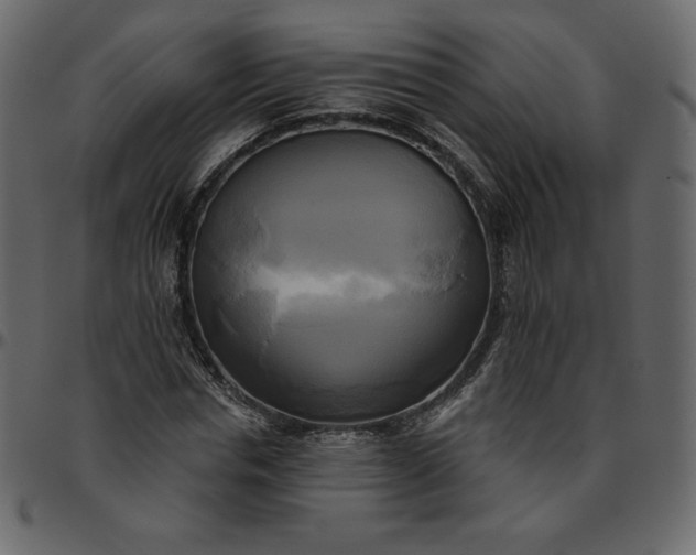 X0000095680826200801221224