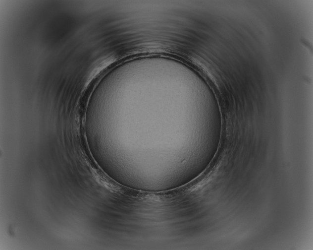 X0000095680827200801221224