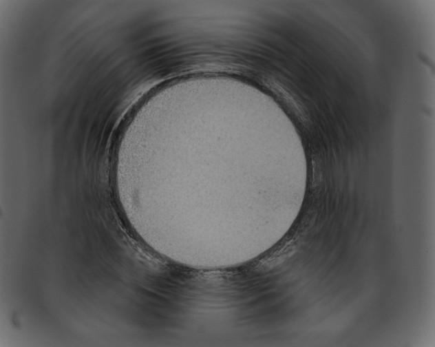 X0000095680828200801221224
