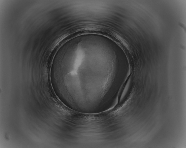 X0000095680829200801221224