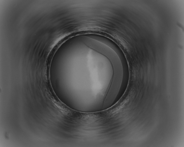 X0000095680830200801221224