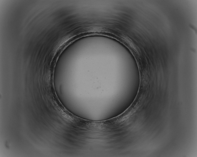 X0000095680831200801221224