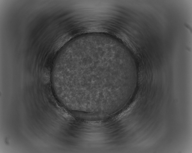 X0000095680833200801221224