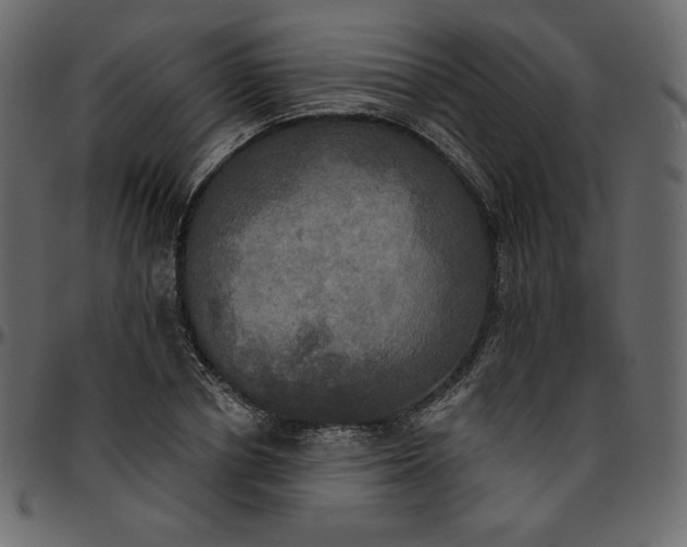 X0000095680834200801221224