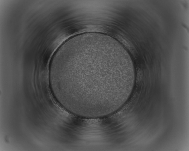 X0000095680836200801221224