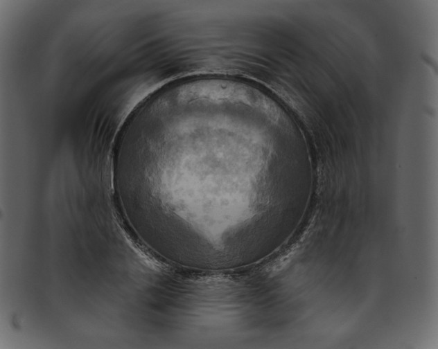X0000095680838200801221224