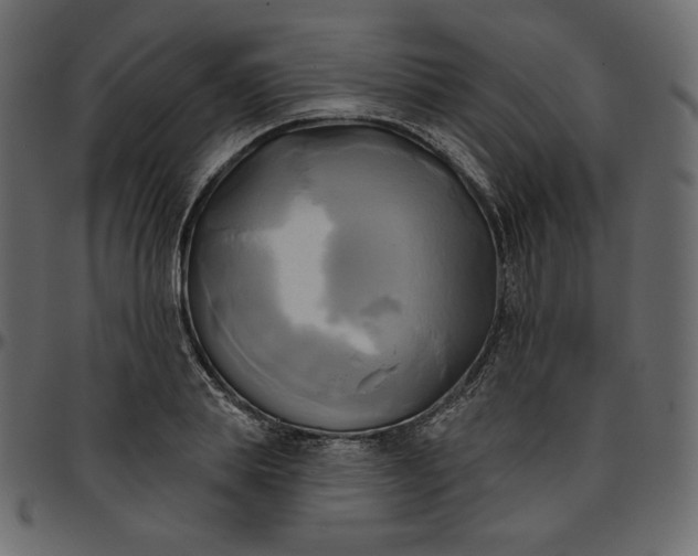 X0000095680839200801221224