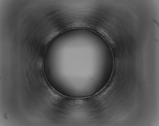 X0000095680841200801221224