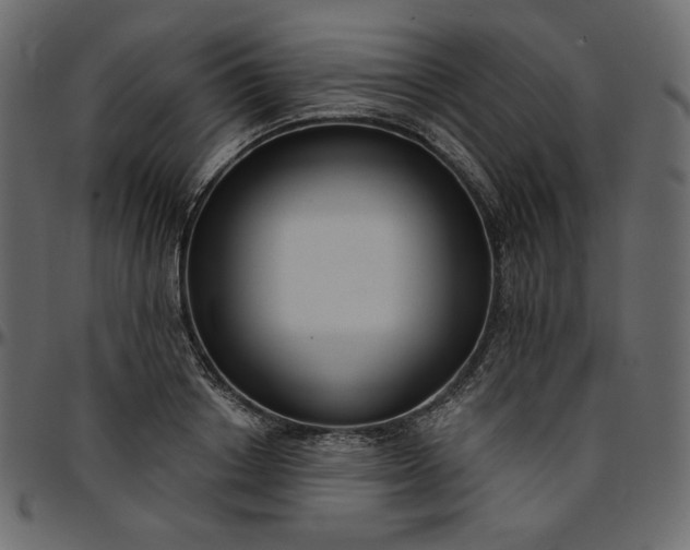 X0000095680842200801221224
