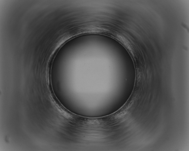 X0000095680843200801221224