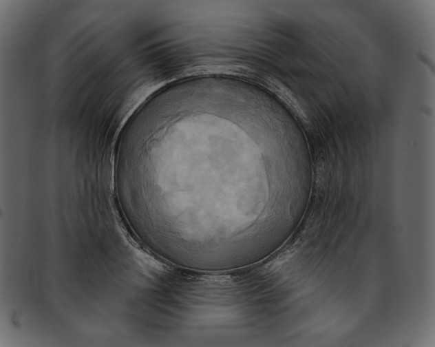 X0000095680844200801221224