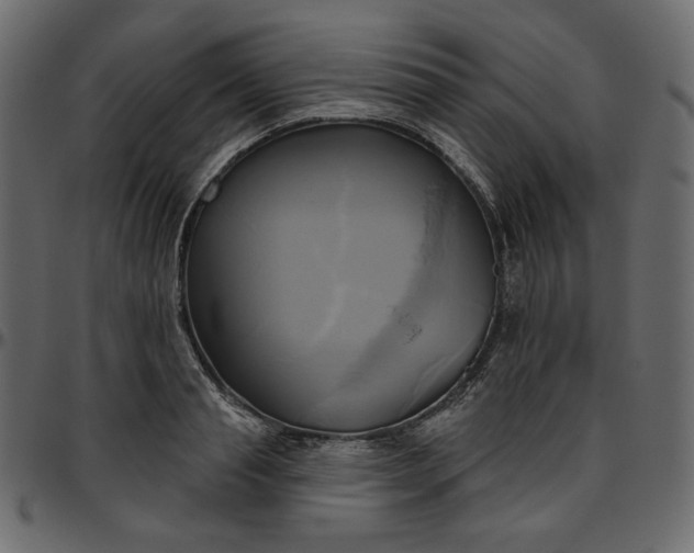 X0000095680845200801221224