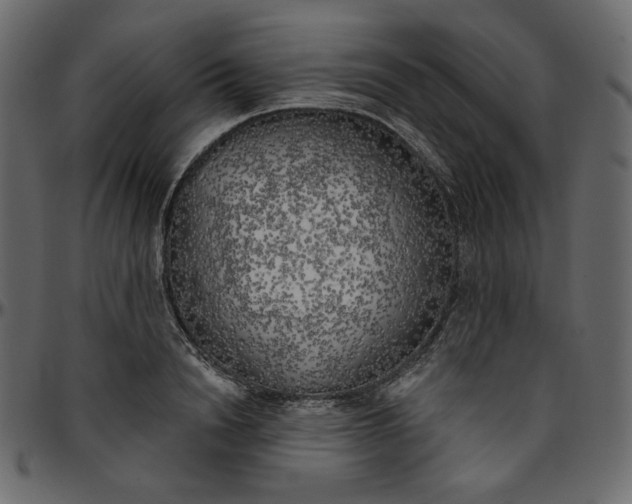 X0000095680846200801221224
