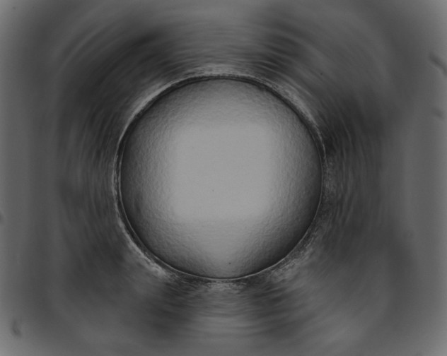 X0000095680847200801221224