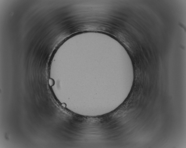 X0000095680848200801221224
