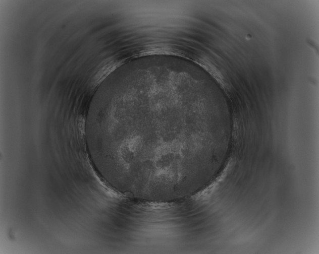 X0000095680849200801221224