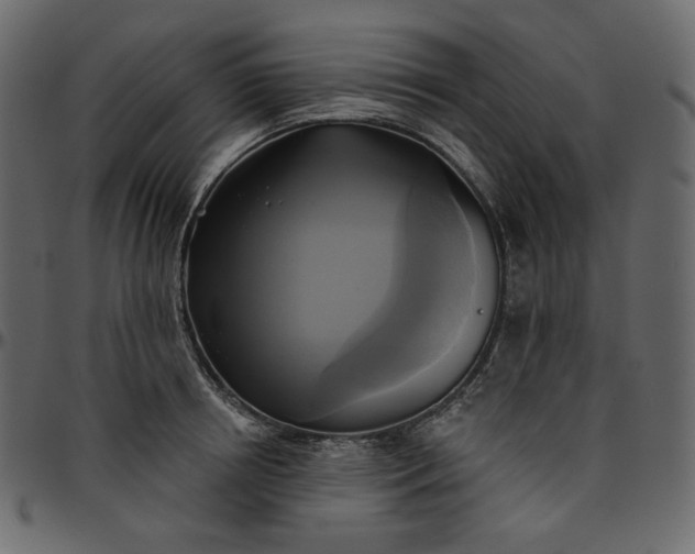 X0000095680850200801221224
