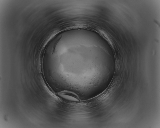 X0000095680851200801221224