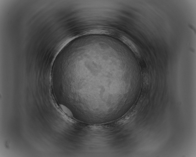 X0000095680852200801221224