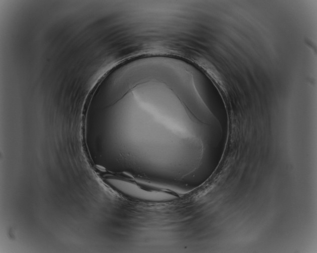 X0000095680853200801221224
