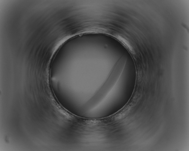 X0000095680854200801221224