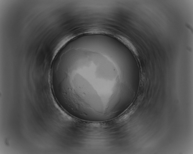 X0000095680855200801221224