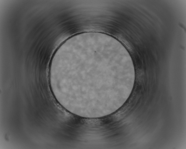 X0000095680856200801221224