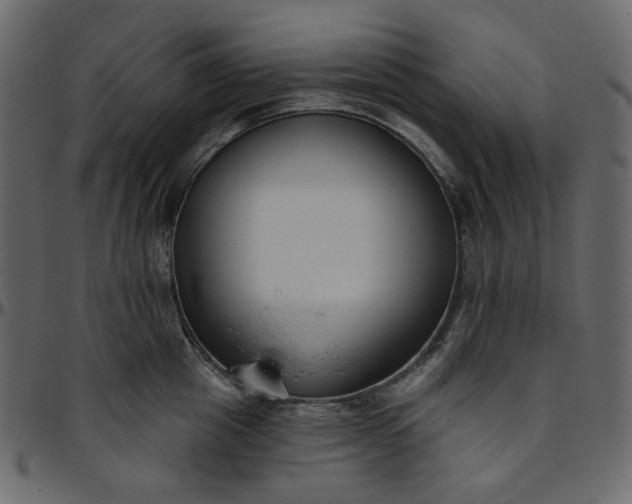 X0000095680857200801221224
