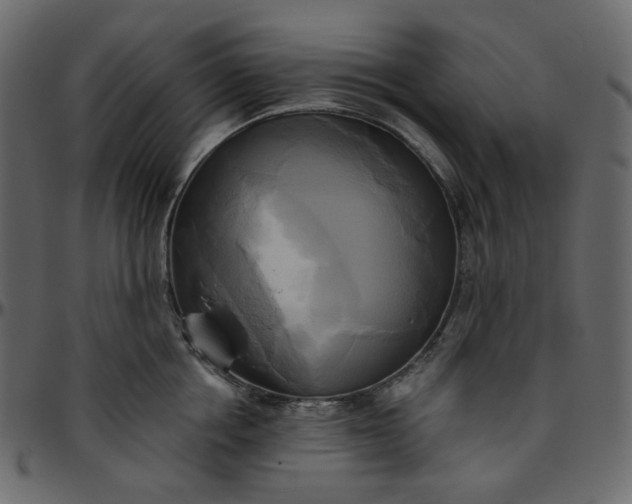 X0000095680858200801221224