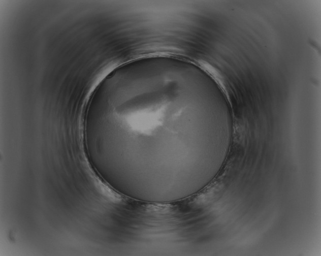 X0000095680859200801221224