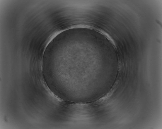 X0000095680860200801221224