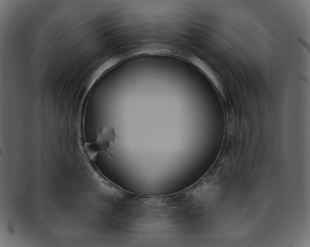 X0000095680861200801221224