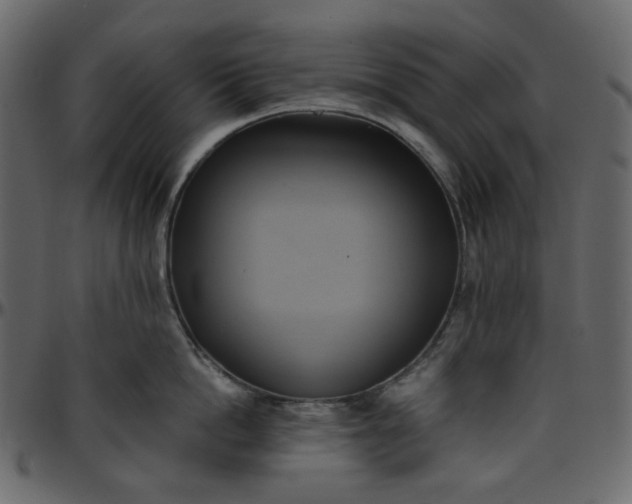X0000095680862200801221224