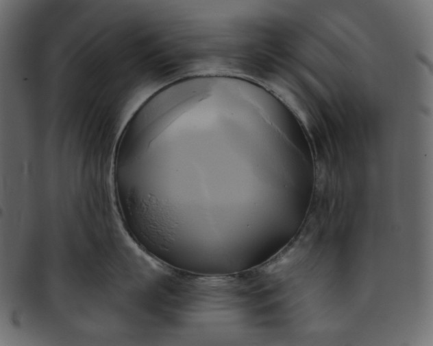 X0000095680863200801221224