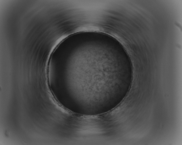 X0000095680864200801221224