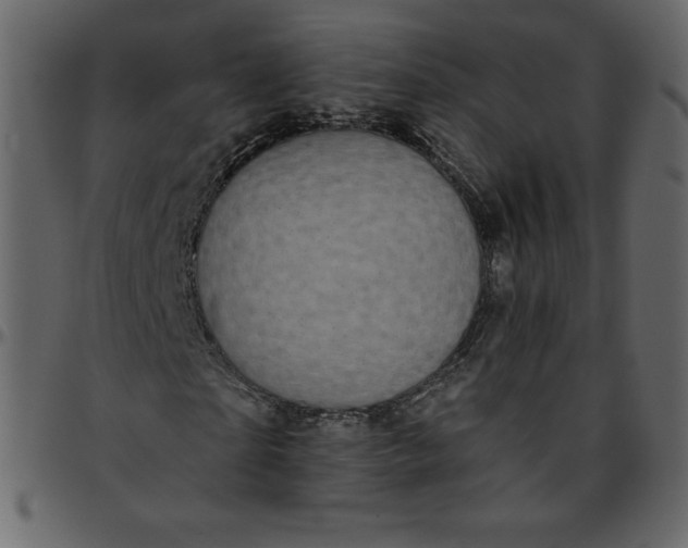 X0000095680865200801221224