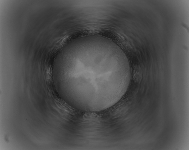 X0000095680866200801221224
