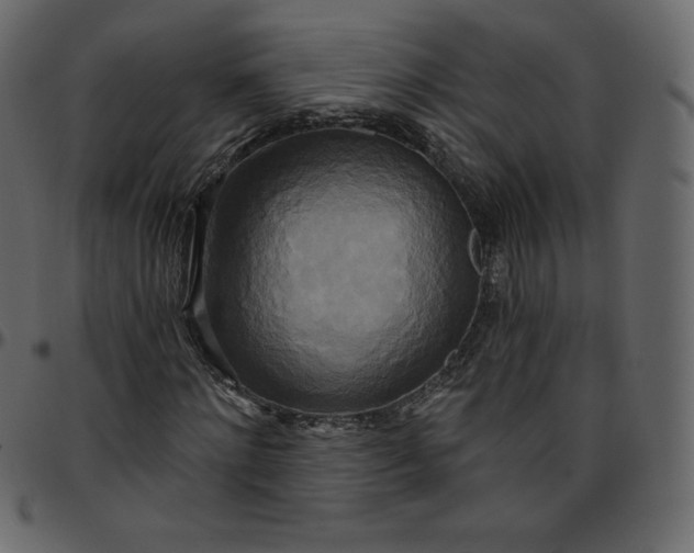 X0000095680868200801221224