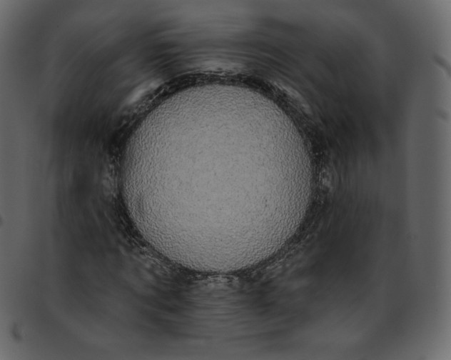 X0000095680869200801221224